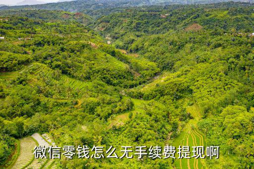 微信零錢提現怎么不收費,請問微信零錢通怎么免費提現