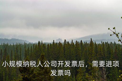 小規(guī)模納稅人公司開發(fā)票后，需要進項發(fā)票嗎
