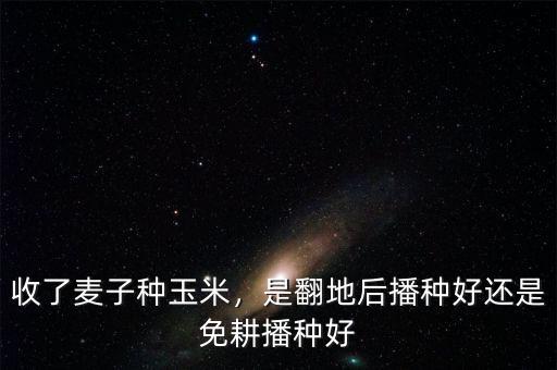 收了麥子種玉米，是翻地后播種好還是免耕播種好