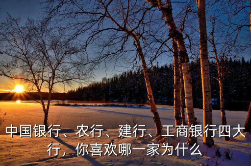 中國銀行、農(nóng)行、建行、工商銀行四大行，你喜歡哪一家為什么