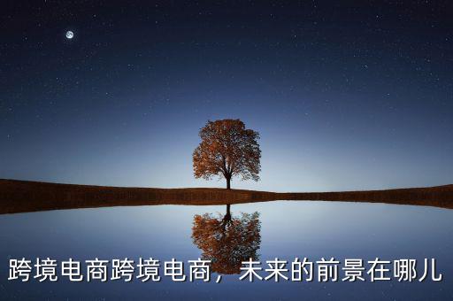 跨境電商跨境電商，未來的前景在哪兒