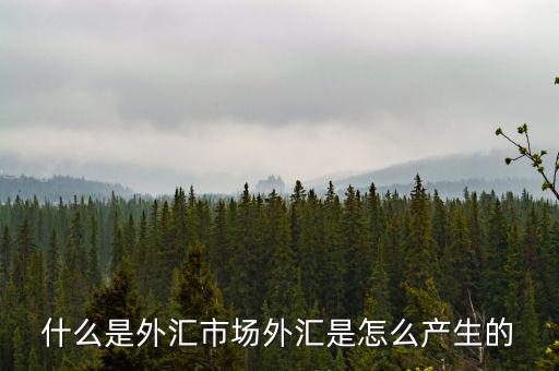 外匯de30是什么,什么是外匯市場