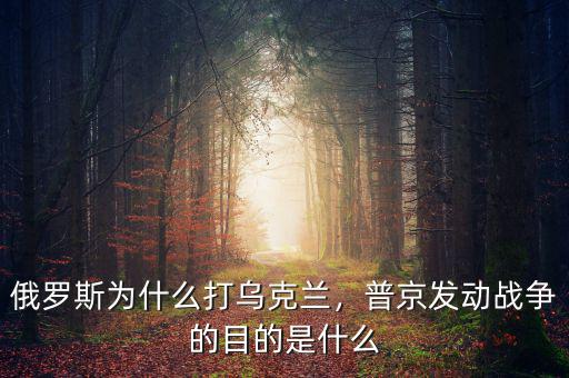 俄羅斯為什么打?yàn)蹩颂m，普京發(fā)動(dòng)戰(zhàn)爭(zhēng)的目的是什么