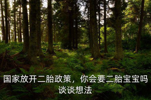 國家放開二胎政策，你會要二胎寶寶嗎談?wù)勏敕? class=