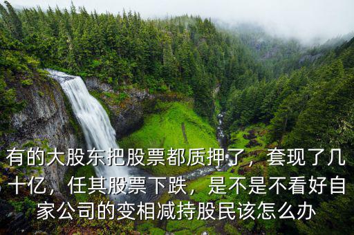 有的大股東把股票都質(zhì)押了，套現(xiàn)了幾十億，任其股票下跌，是不是不看好自家公司的變相減持股民該怎么辦