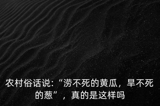 農(nóng)村俗話說(shuō):“澇不死的黃瓜，旱不死的蔥”，真的是這樣嗎