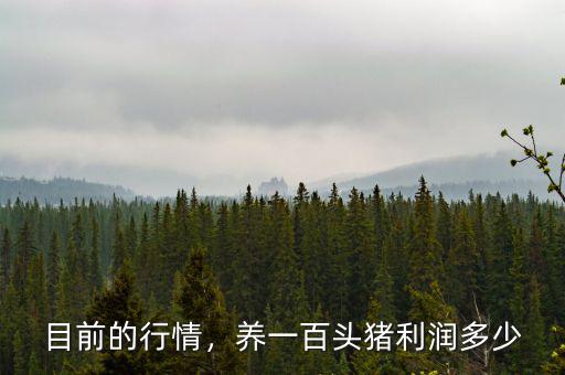目前的行情，養(yǎng)一百頭豬利潤多少