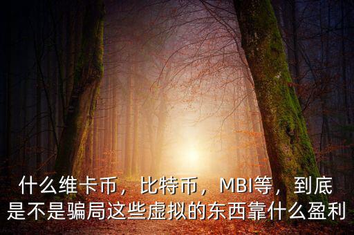什么維卡幣，比特幣，MBI等，到底是不是騙局這些虛擬的東西靠什么盈利