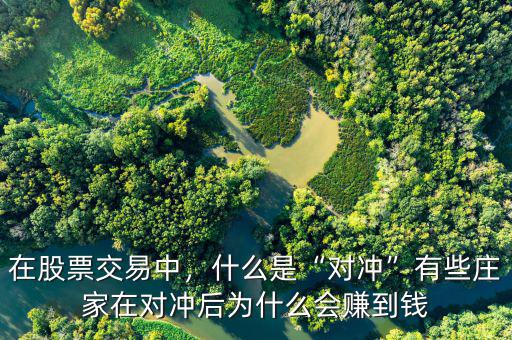 在股票交易中，什么是“對沖”有些莊家在對沖后為什么會賺到錢