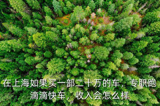 在上海如果買一部二十萬(wàn)的車，專職跑滴滴快車，收入會(huì)怎么樣