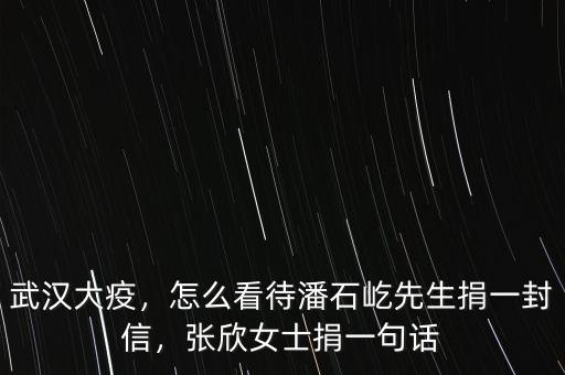 武漢大疫，怎么看待潘石屹先生捐一封信，張欣女士捐一句話(huà)