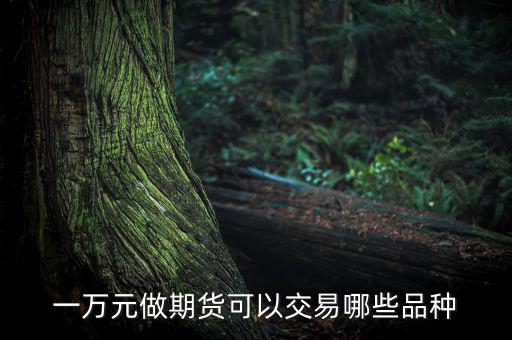 一萬(wàn)元做期貨可以交易哪些品種