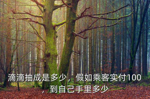 滴滴抽成是多少，假如乘客實(shí)付100，到自己手里多少