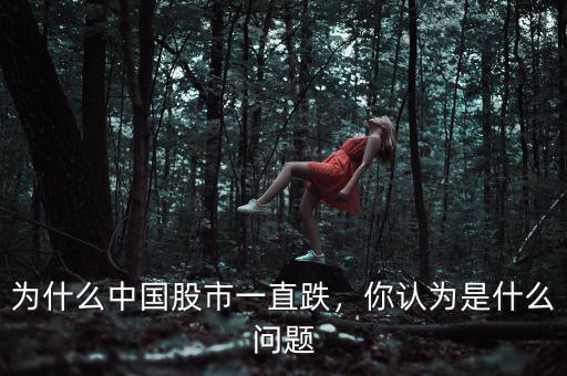 為什么中國股市一直跌，你認為是什么問題