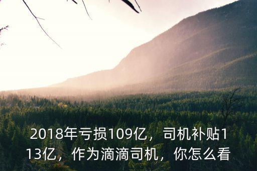 2018年虧損109億，司機補貼113億，作為滴滴司機，你怎么看