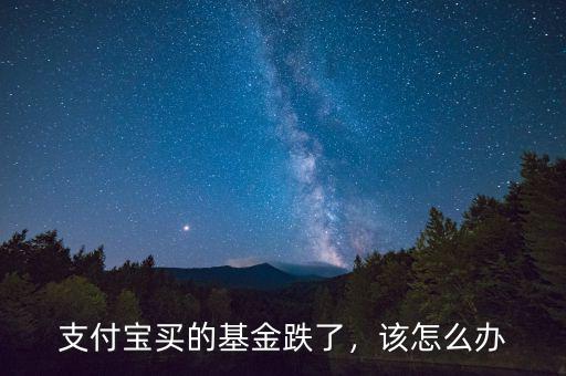 支付寶買(mǎi)的基金跌了，該怎么辦