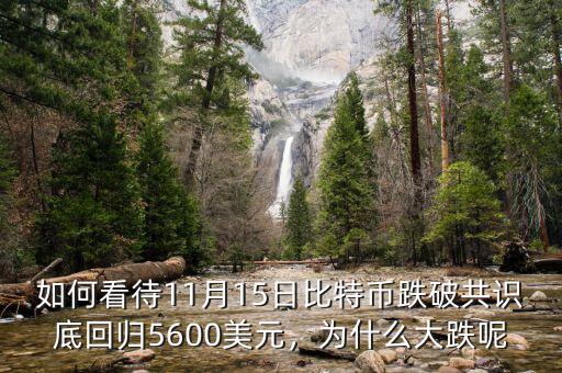 如何看待11月15日比特幣跌破共識(shí)底回歸5600美元，為什么大跌呢