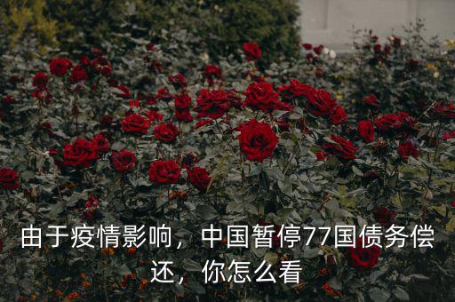 由于疫情影響，中國暫停77國債務(wù)償還，你怎么看