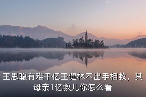 王思聰有難千億王健林不出手相救，其母親1億救兒你怎么看