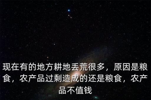 現(xiàn)在有的地方耕地丟荒很多，原因是糧食，農產品過剩造成的還是糧食，農產品不值錢