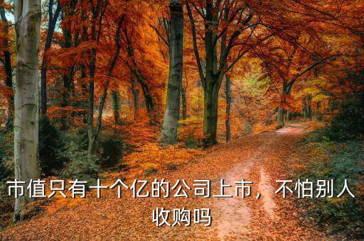 市值只有十個(gè)億的公司上市，不怕別人收購(gòu)嗎