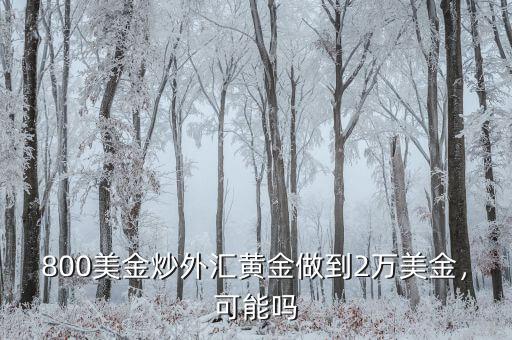 800美金炒外匯黃金做到2萬美金，可能嗎