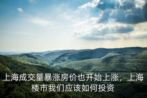 上海成交量暴漲房價也開始上漲，上海樓市我們應(yīng)該如何投資