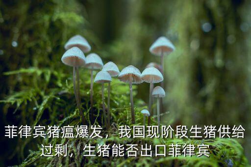 菲律賓豬瘟爆發(fā)，我國現(xiàn)階段生豬供給過剩，生豬能否出口菲律賓