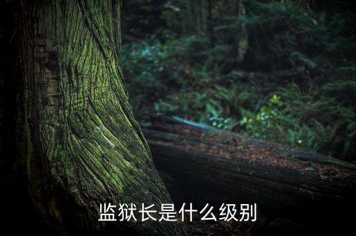 監(jiān)獄長是什么級(jí)別