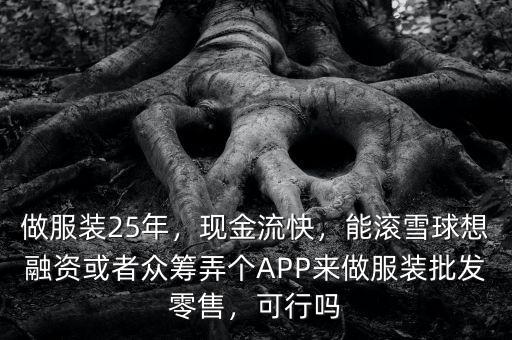 做服裝25年，現(xiàn)金流快，能滾雪球想融資或者眾籌弄個(gè)APP來(lái)做服裝批發(fā)零售，可行嗎