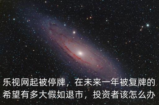 樂(lè)視網(wǎng)起被停牌，在未來(lái)一年被復(fù)牌的希望有多大假如退市，投資者該怎么辦