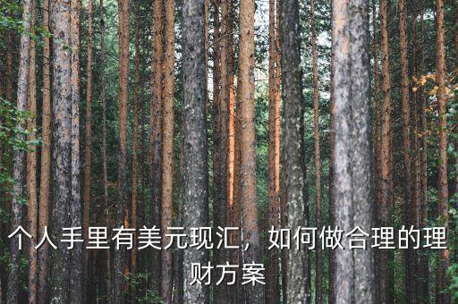 個(gè)人手里有美元現(xiàn)匯，如何做合理的理財(cái)方案