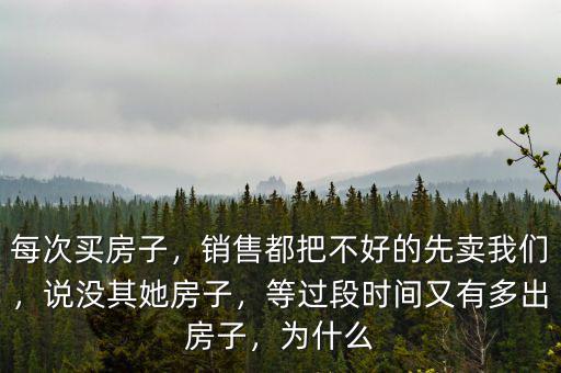 每次買(mǎi)房子，銷(xiāo)售都把不好的先賣(mài)我們，說(shuō)沒(méi)其她房子，等過(guò)段時(shí)間又有多出房子，為什么
