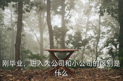 剛畢業(yè)，進(jìn)入大公司和小公司的區(qū)別是什么