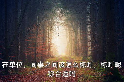 在單位，同事之間該怎么稱呼，稱呼昵稱合適嗎