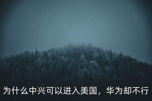 為什么中興可以進(jìn)入美國，華為卻不行