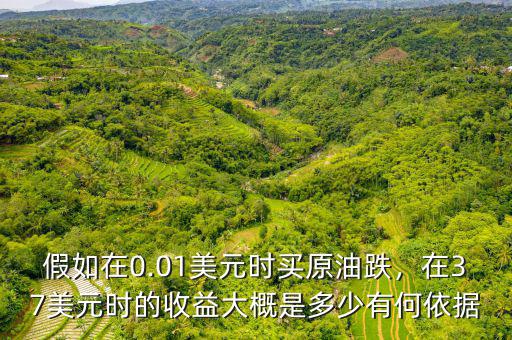 假如在0.01美元時(shí)買(mǎi)原油跌，在37美元時(shí)的收益大概是多少有何依據(jù)
