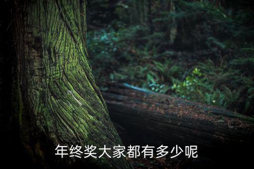 一般公司年終獎(jiǎng)有多少,你們公司年終獎(jiǎng)是多少