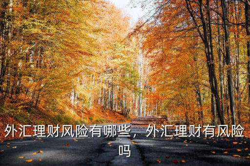 什么是外匯理財,外匯理財風險有哪些