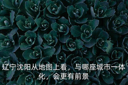 遼寧沈陽從地圖上看，與哪座城市一體化，會更有前景