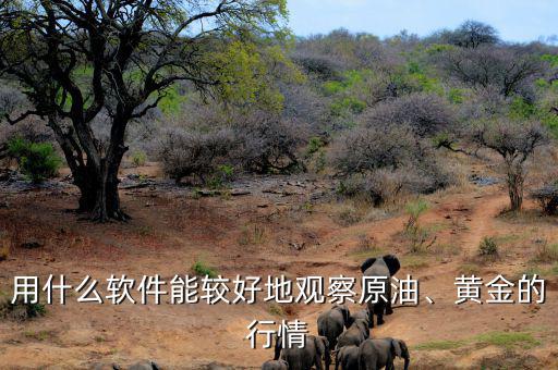 用什么軟件能較好地觀察原油、黃金的行情