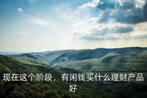現(xiàn)在這個階段，有閑錢買什么理財產(chǎn)品好