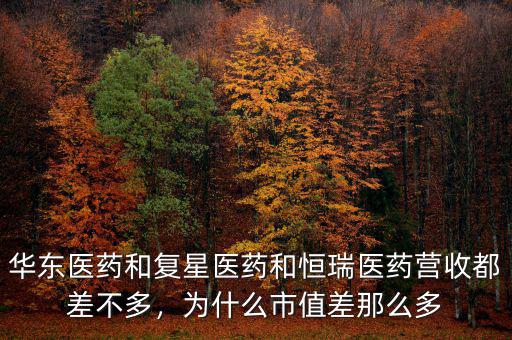 華東醫(yī)藥和復(fù)星醫(yī)藥和恒瑞醫(yī)藥營收都差不多，為什么市值差那么多