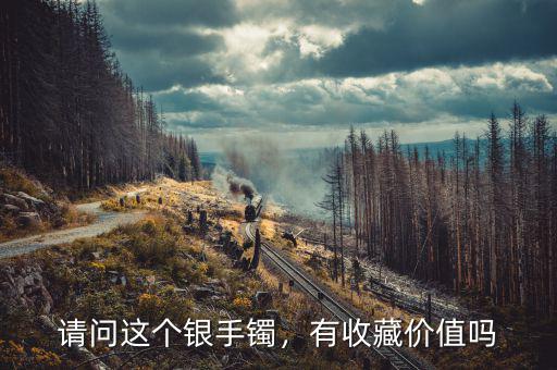 請(qǐng)問(wèn)這個(gè)銀手鐲，有收藏價(jià)值嗎