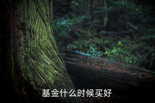 基金什么時候買好