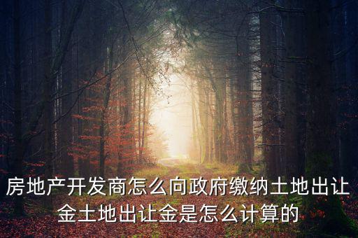 房地產(chǎn)開(kāi)發(fā)商怎么向政府繳納土地出讓金土地出讓金是怎么計(jì)算的