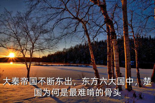 大秦帝國不斷東出，東方六大國中，楚國為何是最難啃的骨頭