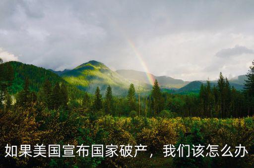 如果美國宣布國家破產(chǎn)，我們該怎么辦