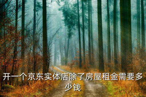 開一個京東實(shí)體店除了房屋租金需要多少錢