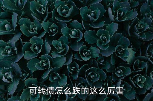 跌最厲害的什么股,可轉(zhuǎn)債怎么跌的這么厲害
